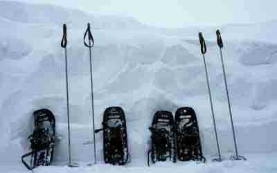 Guided Snowshoeing in Tahoe: A Unique Winter Experience