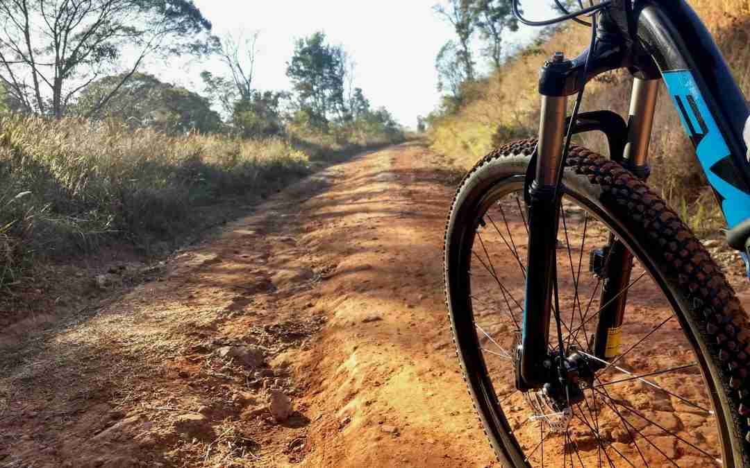 Uncovering the Thrill of Mountain Biking Adventures in South Lake Tahoe with Tahoe Outdoor Adventures