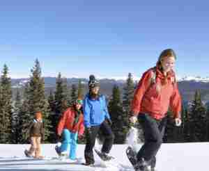 A group of adventurous people dressed in winter clothing walk through a snow-covered landscape in Tahoe, surrounded by tall pine trees under a clear sky, highlighting a thrilling outdoor adventure.