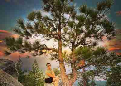 Hiker perched on granite beside a pine tree at sunset
