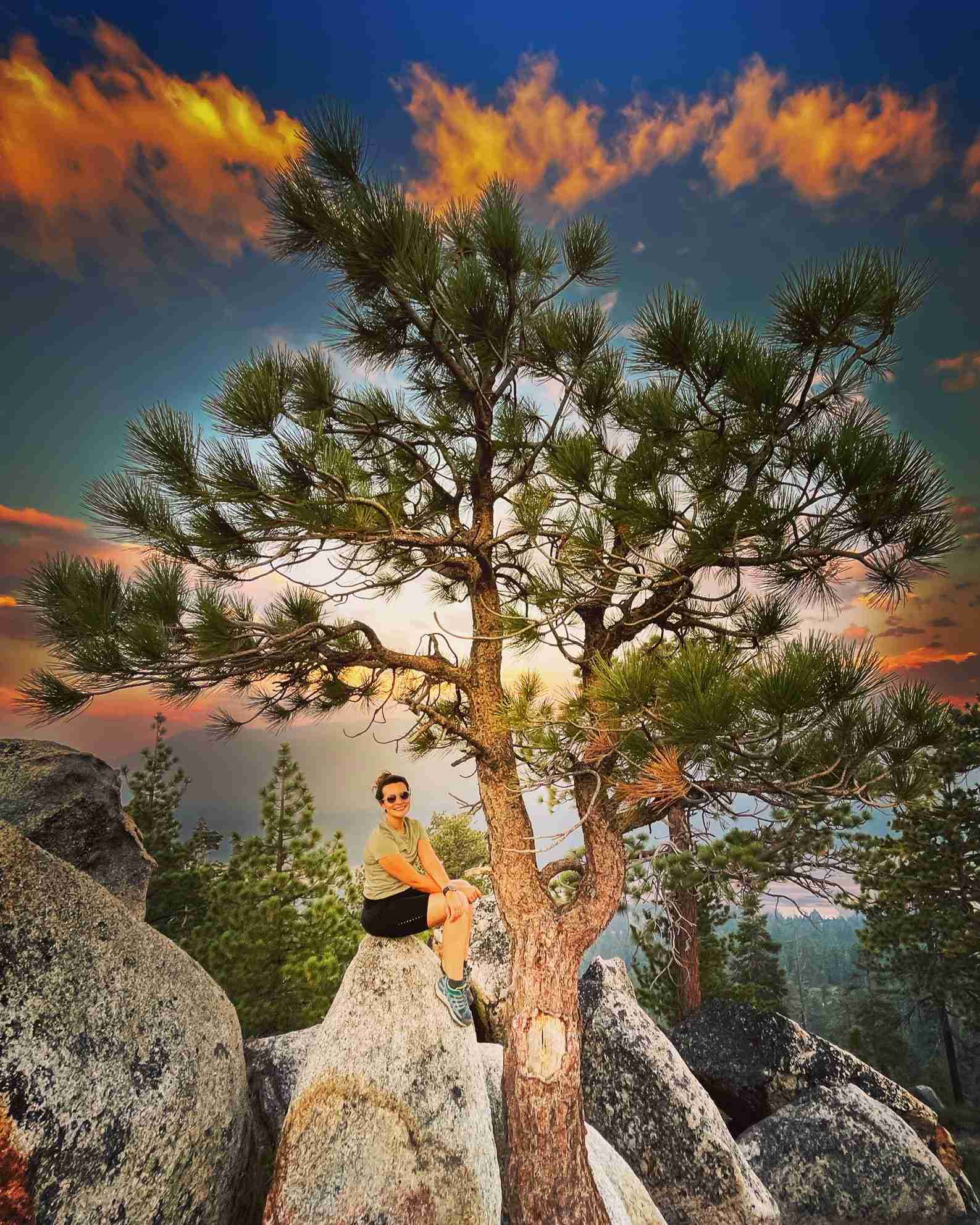 Hiker perched on granite beside a pine tree at sunset